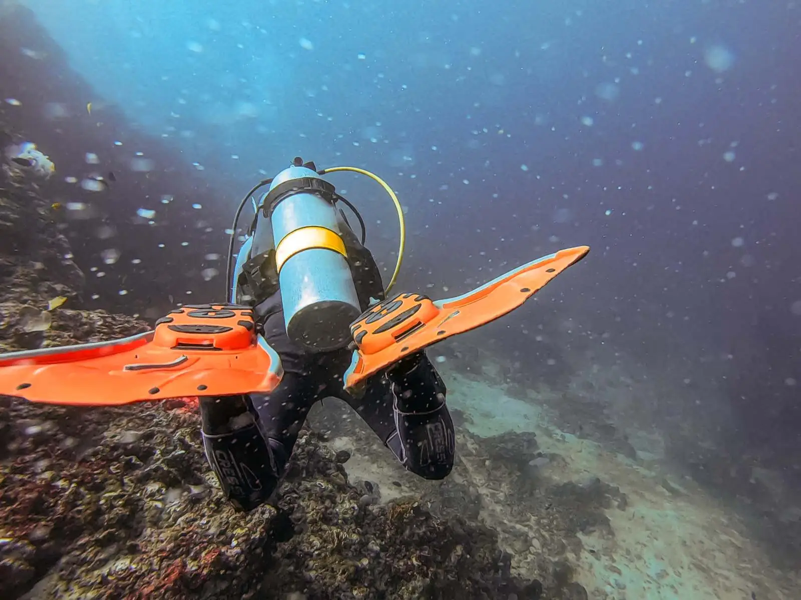 A Norwegian scuba diver at 130 feet in the Verde Island Passage, Philippines, during a high-velocity drift dive.