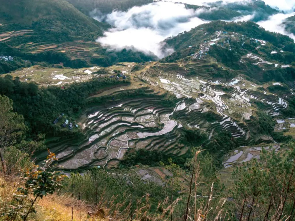 A high-altitude, wide-angle view from Mt. Kupapey looking down at the village of Maligcong and its surrounding rice terraces in Bontoc, Mountain Province. A thick layer of white morning mist and clouds blankets the valley floor, partially obscuring the homes and fields nestled within the lush, green mountain slopes.