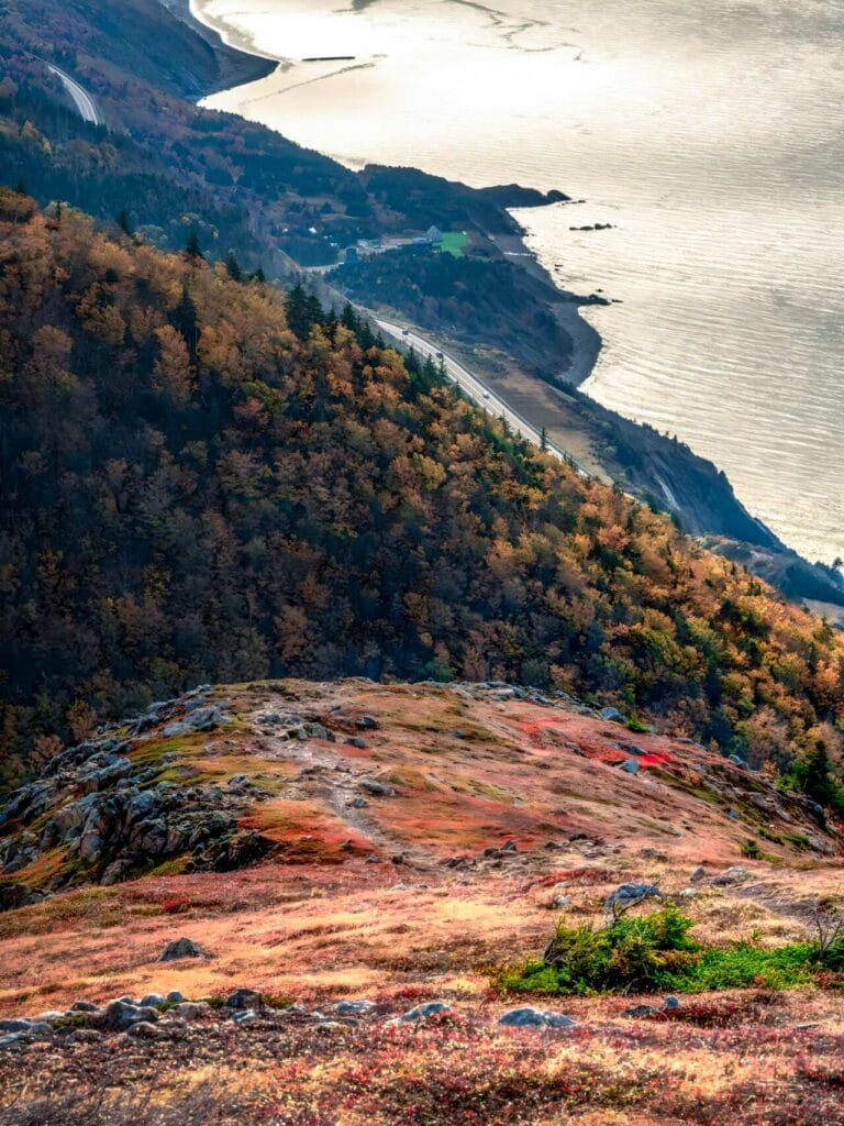 A high-angle view looking down from the summit of Blueberry Mountain in Cape Breton. The rugged foreground barrens, covered in red and gold autumn low-growth, transition sharply to a forested cliffside dropping vertically into the expansive Atlantic Ocean below.