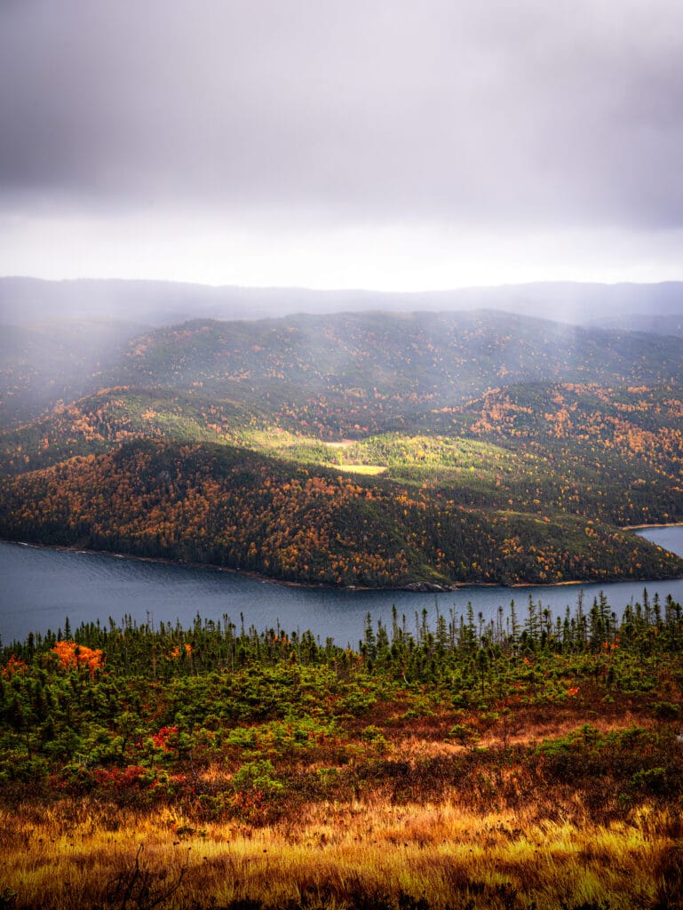A high-elevation view overlooking a deep blue bay surrounded by rolling, forest-covered hills in autumn. Patches of sunlight, or "god rays," break through a heavy, grey overcast sky to illuminate the vibrant orange and green trees, while the foreground consists of golden tundra grass and scattered evergreen trees.