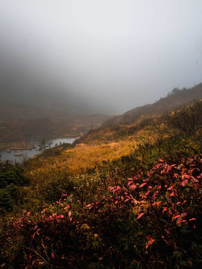 A foggy mountain descent with vibrant red and orange autumn foliage in the foreground. A small, dark pond is visible in the misty valley below, and the upper half of the image is dominated by thick, grey fog obscuring the mountain peaks.