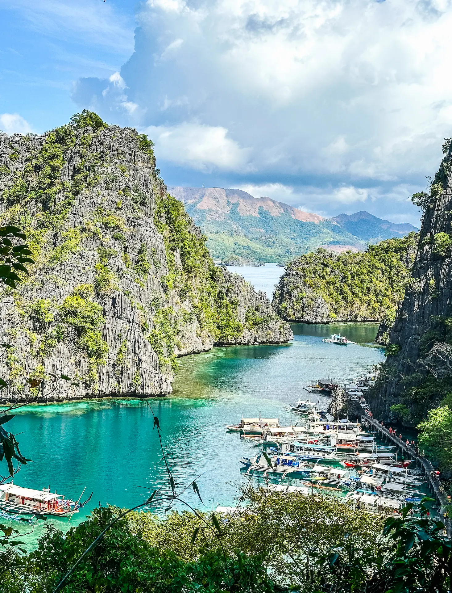 A scenic high-angle panorama of the Kayangan Lake docking bay in Coron, Palawan, Philippines. Numerous outrigger boats (bangkas) are moored in the vibrant turquoise water, surrounded by dramatic, towering limestone karst cliffs under a blue sky with soft clouds.