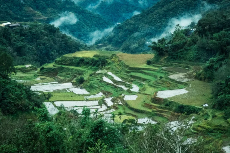 A sweeping, high-altitude view of the Maligcong rice terraces in the Cordillera Mountains, Philippines. The scene is captured from a trail overlooking the valley, showcasing multiple levels of flooded and green rice paddies cascading down the mountain. The terraced landscape is integrated into the steep, lush green slopes, with a hint of mountain mist clinging to the background ridges.
