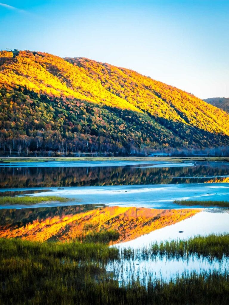 A low-angle landscape shot across the Cheticamp River wetlands in autumn. Reeds grow in the calm, reflective water which perfectly mirrors the massive hillside covered in dense, orange and gold foliage under a blue sky.
