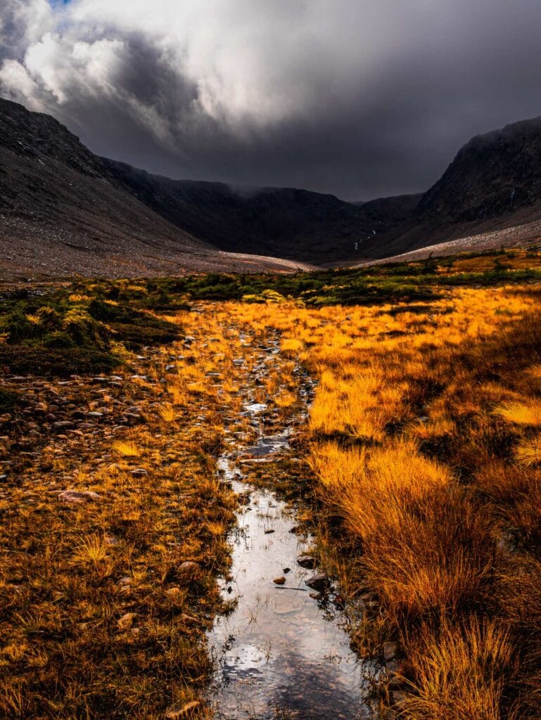 A narrow stream cuts through a field of golden-yellow grasses and low shrubs in the Tablelands. In the background, massive, dark, rocky mountains rise toward a heavy, overcast sky with light breaking through the clouds.