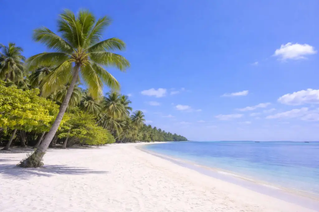 Tropical Travel Tips