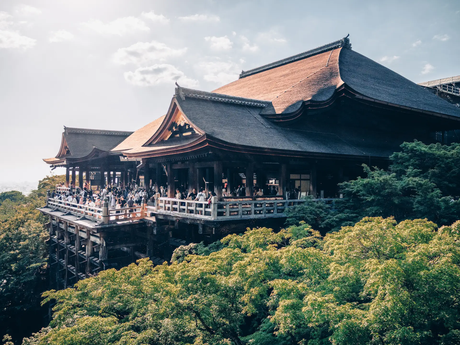The historic wooden main stage of Kiyomizu-dera Temple stands high above the lush green trees during a Japan travel itinerary in Kyoto.